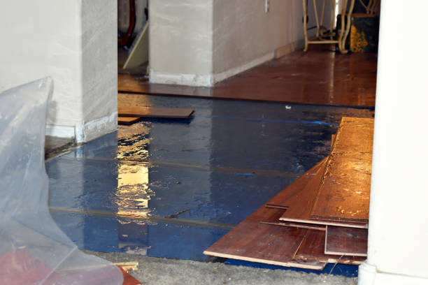 Professional Emergency Water Damage Restoration technician working in Lynnwood, WA